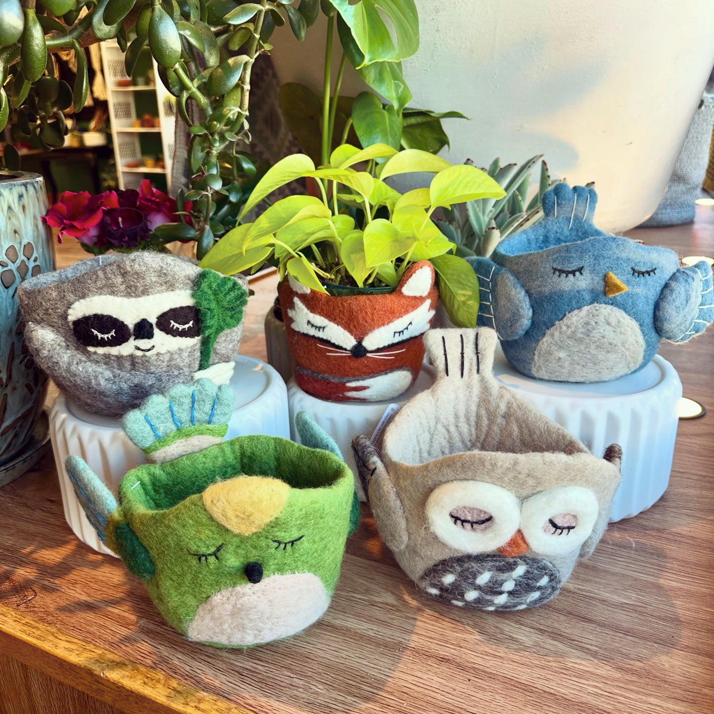 Felted Pot